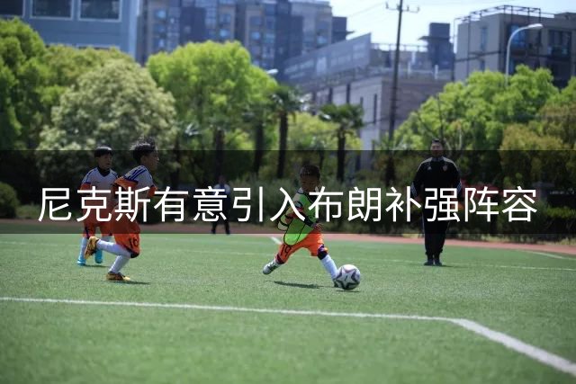 尼克斯有意引入布朗补强阵容
